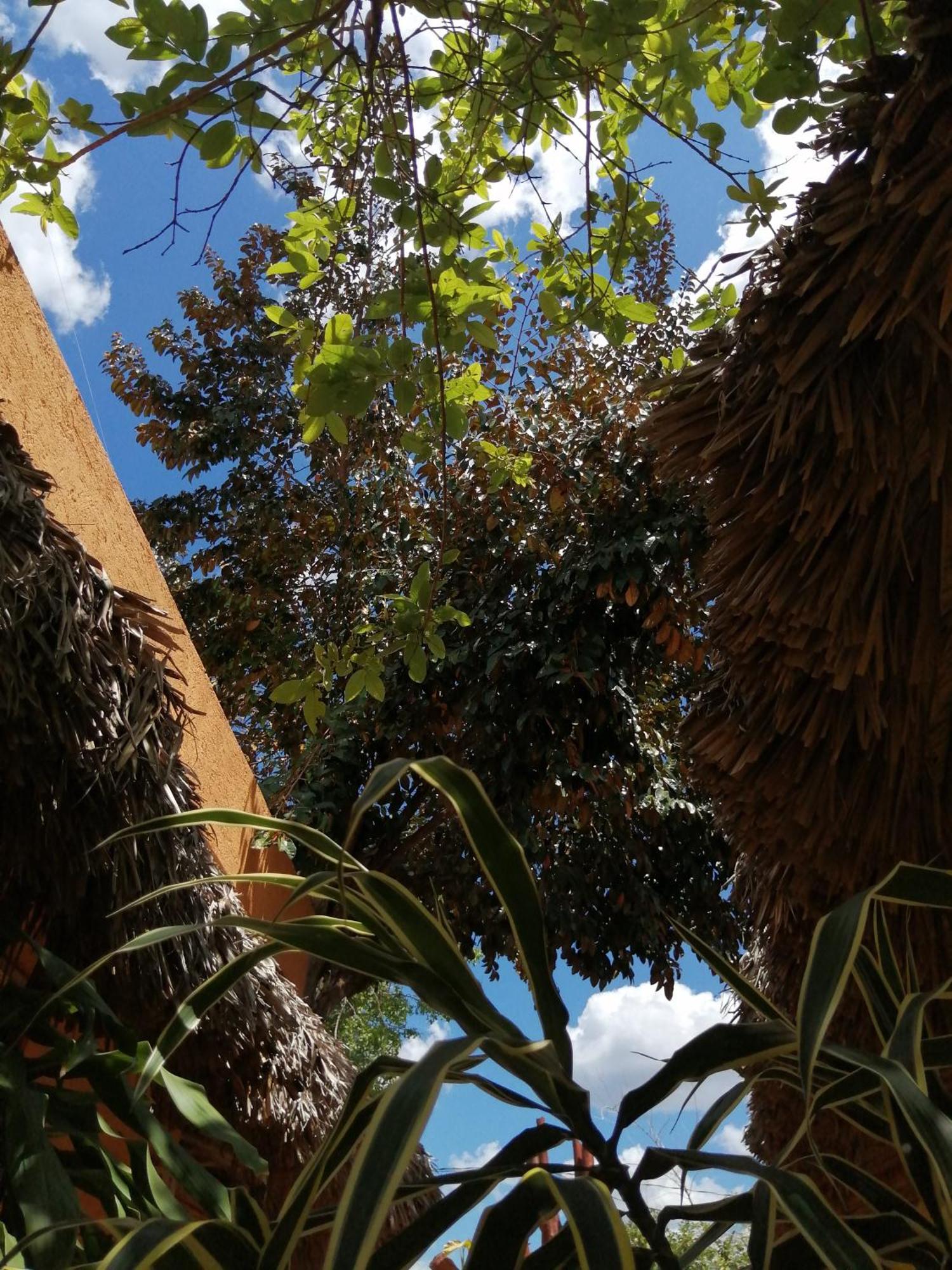 Pisté Suites De Piedra Y Colores En Chichen Itza מראה חיצוני תמונה