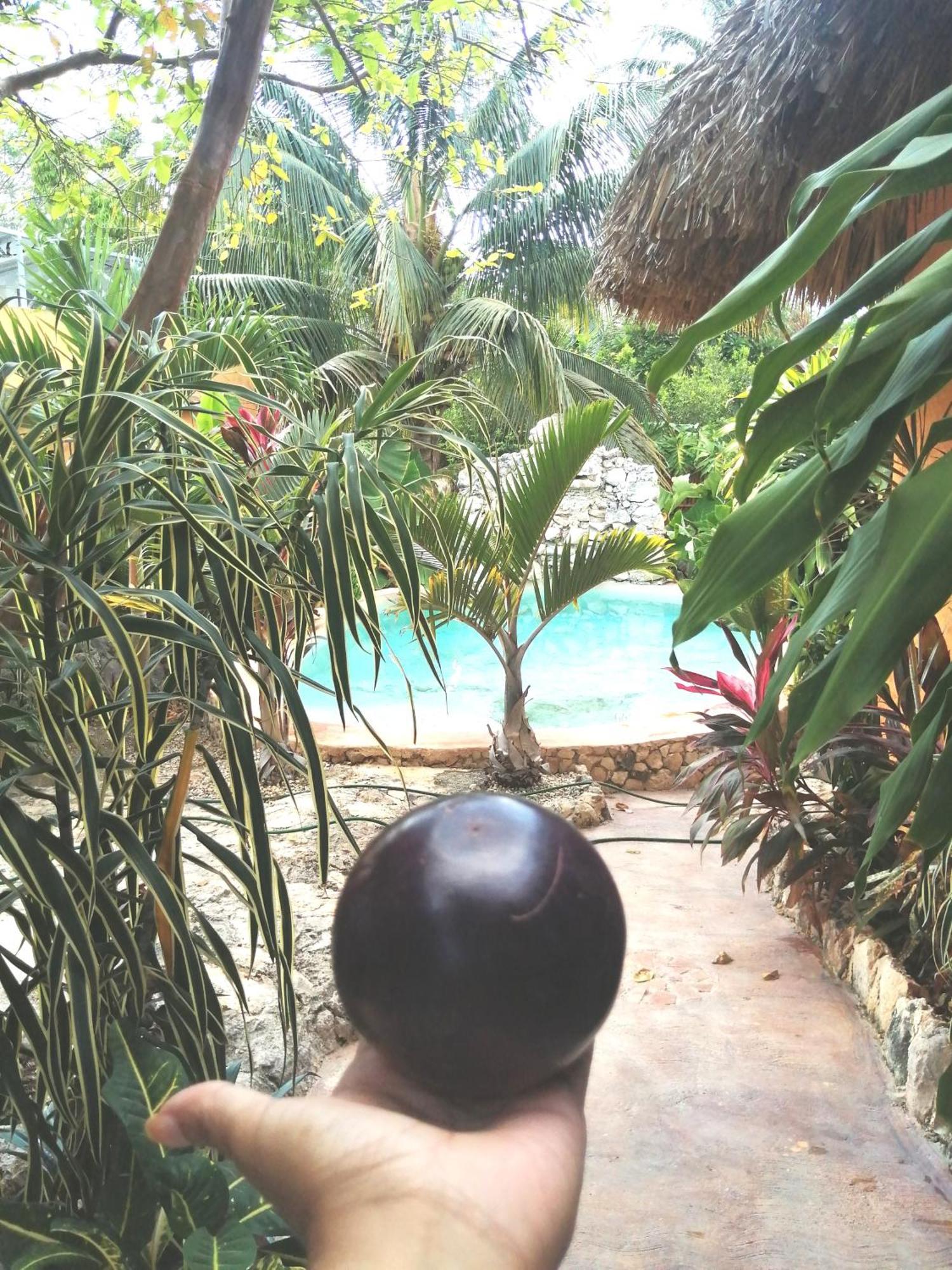 Pisté Suites De Piedra Y Colores En Chichen Itza מראה חיצוני תמונה
