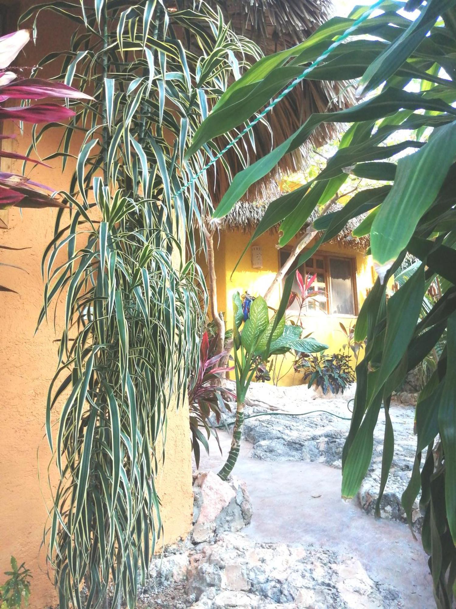 Pisté Suites De Piedra Y Colores En Chichen Itza מראה חיצוני תמונה